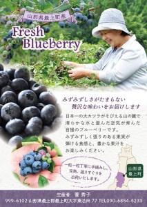 【冷凍】最上町産ブルーベリー1kg ※発送は9月～3月になります。