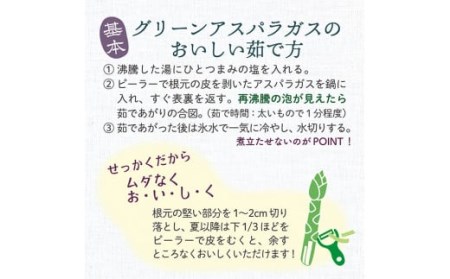 JA【令和7年産予約】最上町特産グリーンアスパラ３Lサイズ１kg