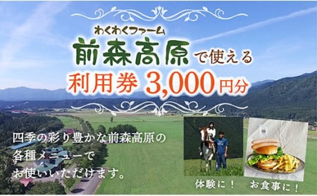 前森高原 利用券 3000円分