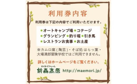 前森高原 利用券 3000円分