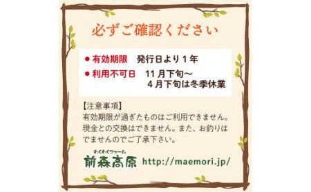 前森高原 利用券 3000円分