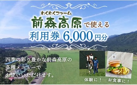 前森高原 利用券 6000円分