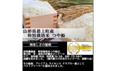 【令和6年産予約】特別栽培米　つや姫　白米　10kg(5kg×2)