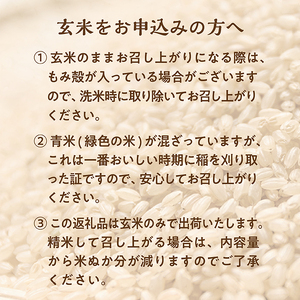 【令和6年産予約】特別栽培米　つや姫　玄米　30kg×1