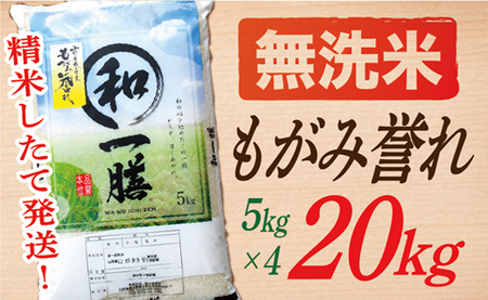 【令和6年産】【希少品種】【無洗米】山形県産もがみ誉れ20kg(5㎏×4袋)