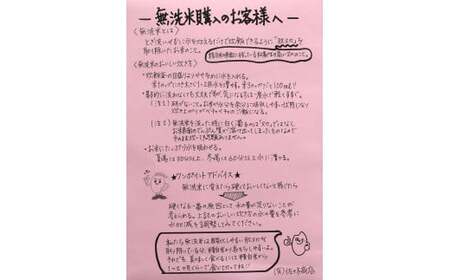 【令和6年産】【希少品種】【無洗米】山形県産もがみ誉れ20kg(5㎏×4袋)