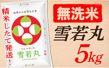 【令和6年産】【無洗米】山形県産雪若丸5kg(5㎏×1袋)