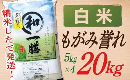 【令和6年産】【希少品種】【白米】山形県産もがみ誉れ20kg(5㎏×4袋)