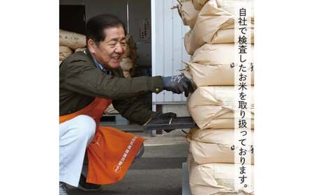 【令和6年産】【希少品種】【白米】山形県産もがみ誉れ20kg(5㎏×4袋)