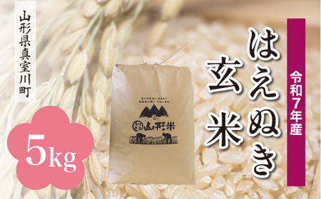 ＜令和7年産米＞ 令和8年6月上旬発送 真室川町産 はえぬき 【玄米】 5kg （5kg×1袋）　◆RR7H05M-G2606A