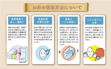 <令和7年産米> 令和8年4月下旬発送 真室川町産 はえぬき 【無洗米】 20kg (5kg×4袋) ◆RR7H20M-M2604C