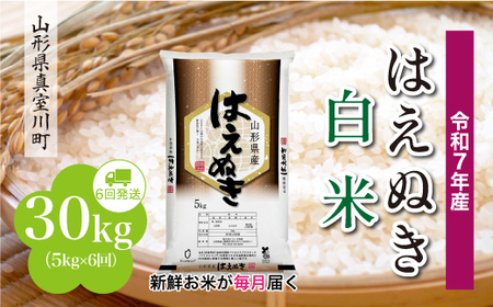 ＜令和7年産米＞ 令和8年4月下旬より発送 真室川町産 はえぬき【白米】30kg定期便 (5kg×6回)　◆RR7H3005M-H2604C