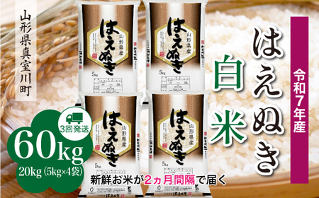 ＜令和7年産米＞ 令和8年5月下旬より発送 真室川町産 はえぬき【白米】60kg定期便(20kg×3回)　◆RR7H6020M-H2605C