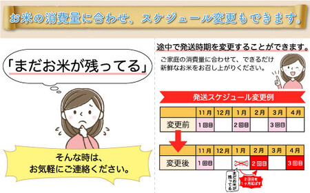 ＜令和7年産米＞ 令和8年5月下旬より発送 真室川町産 はえぬき【白米】60kg定期便(20kg×3回)　◆RR7H6020M-H2605C