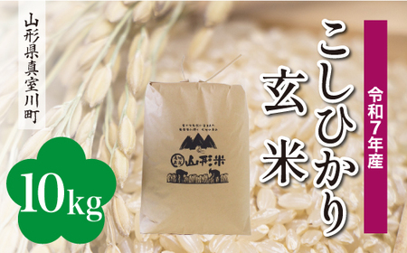 ＜令和7年産米＞ 令和8年8月下旬発送 こしひかり 【玄米】 10kg （10kg×1袋） 山形県真室川町　◆RR7K10M-G2608C