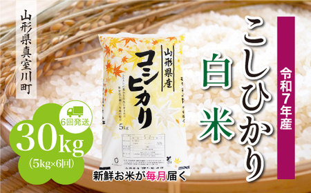 ＜令和7年産米＞ 令和8年3月下旬より発送 こしひかり【白米】30kg定期便 (5kg×6回) 山形県真室川町　◆RR7K3005M-H2603C