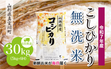 <令和7年産米> 令和8年4月中旬より発送 こしひかり【無洗米】30kg定期便 (5kg×6回) 山形県真室川町 ◆RR7K3005M-M2604B