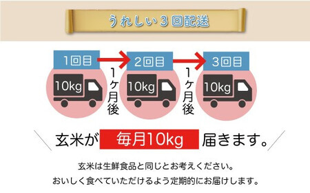 ＜令和7年産米＞ 令和8年5月中旬より発送 こしひかり【玄米】30kg 定期便 (10kg×3回) 山形県真室川町　◆RR7K3010M-G2605B