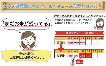 ＜令和7年産米＞ 令和8年5月中旬より発送 こしひかり【玄米】30kg 定期便 (10kg×3回) 山形県真室川町　◆RR7K3010M-G2605B