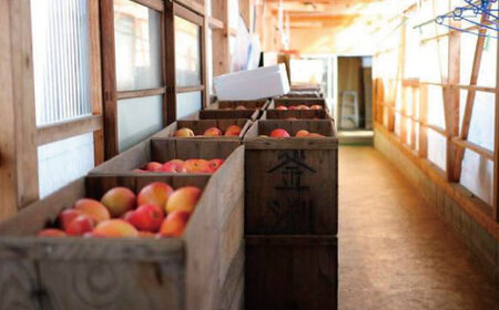 ＜真室川のおいしいりんご使用＞　真室川りんご100％ジュース　2本入×2箱　◆TR012-2025