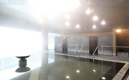 いきいきランド ぽんぽ館 大人入浴券 11枚 F7W-0008