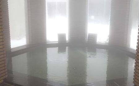 いきいきランド ぽんぽ館 大人入浴券 11枚 F7W-0008