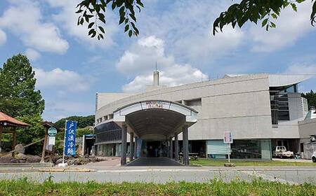 いきいきランド ぽんぽ館 大人入浴券 11枚 F7W-0008