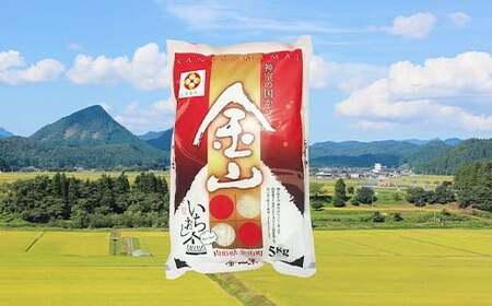 【戸沢村×金山町 共通返礼品】厳選米 食べ比べセット 10kg（5kg×2種類）雪若丸・はえぬき 精米  FAE-0018