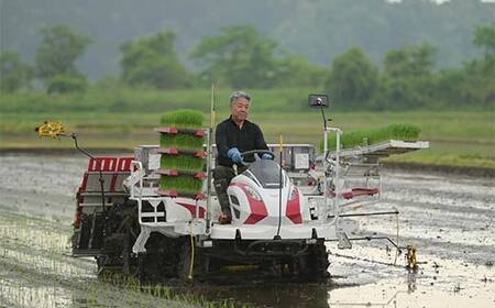 ≪2026年2月発送≫ 令和7年度 山形県戸沢村産 はえぬき 5kg 精米 白米 お米 米 米米 新米 ご飯 ごはん ブランド米 銘柄米 2025年産 令和7年度産 家庭用 自宅用 贈答用 お取り寄せ 食品 山形県 戸沢村 F7W-0154