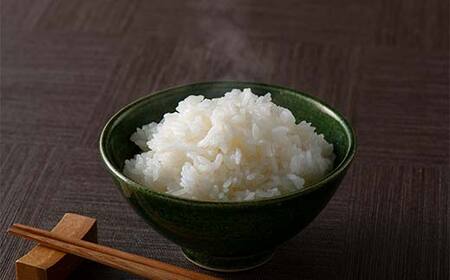 ≪2026年3月発送≫ 令和7年度 山形県戸沢村産 つや姫 10kg(5kg×2) 精米 白米 お米 米 米米 新米 ご飯 ごはん ブランド米 銘柄米 つやひめ 2025年産 令和7年度産 家庭用 自宅用 贈答用 お取り寄せ 食品 山形県 戸沢村 F7W-0179