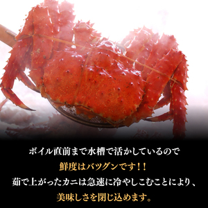 北海道稚内産ボイルタラバガニ(ボイル済み・脚)800g 北海道 蟹 カニ