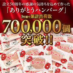 【ふるなびWEEK対象】便利 ハンバーグ 24個 ありがとうハンバーグ （レギュラー90g×18・チーズ90ｇ×6）