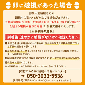 【定期便】飛ぶ鳥農場　海の街たまご　40個×6か月｜ 鶏卵 平飼い 有精卵 北海道石狩市