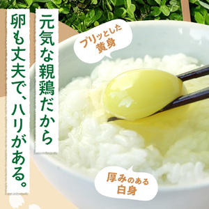 【定期便】飛ぶ鳥農場　海の街たまご　60個×3か月  ｜ 鶏卵 平飼い 有精卵 北海道石狩市