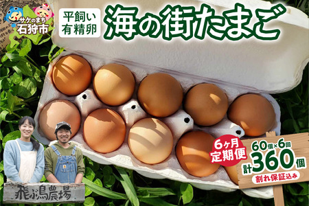 【定期便】飛ぶ鳥農場　海の街たまご　60個×6か月 ｜ 鶏卵 平飼い 有精卵 北海道石狩市