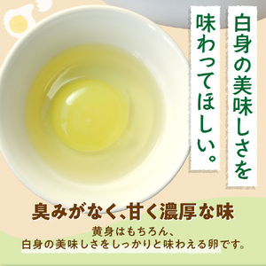 【定期便】飛ぶ鳥農場　海の街たまご　60個×6か月 ｜ 鶏卵 平飼い 有精卵 北海道石狩市