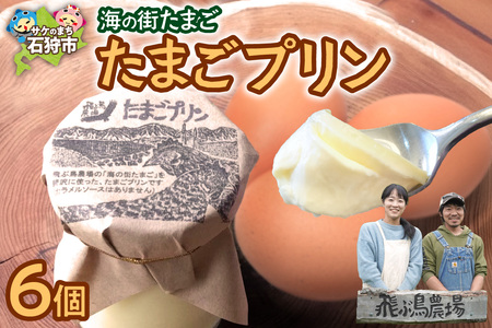 飛ぶ鳥農場 海の街たまごプリン 6個