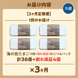 【定期便】飛ぶ鳥農場　海の街たまご　40個×3か月 ｜ 鶏卵 平飼い 有精卵 北海道石狩市