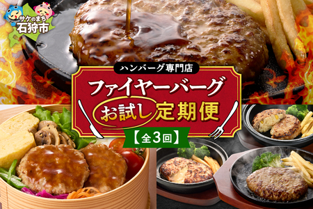 【定期便3回】ファイヤーバーグお試し定期便