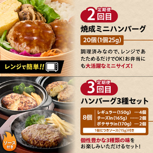 【定期便3回】ファイヤーバーグお試し定期便