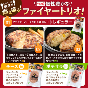 【定期便4回】ファイヤーバーグ満喫定期便