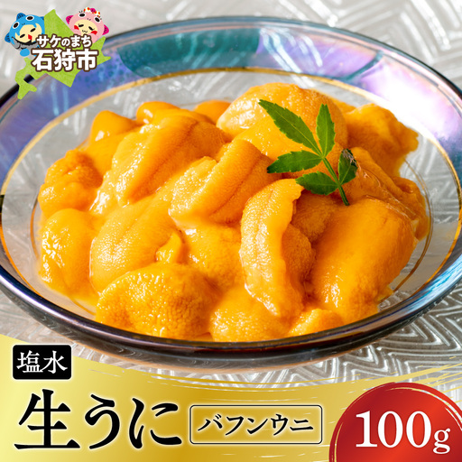 【目利きの達人セレクト】塩水 生うに 100g（北海道産） | バフンウニ ウニ 雲丹 道産 養殖 海鮮 魚介 最高級 希少 北海道 石狩市