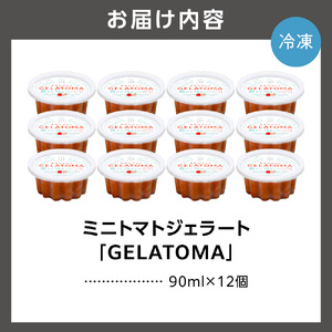 トマト農家が作ったトマトのジェラート「GELATOMA」12個 | とまと 野菜 フルーツ アイス 北海道 石狩市