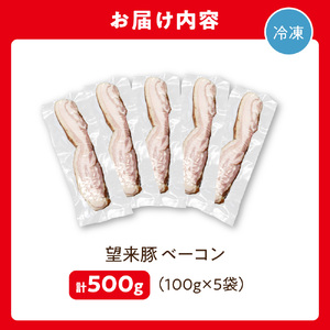 望来豚ベーコン　ブロック100g×5｜ふるさと納税 無添加 ベーコン 北海道 石狩市