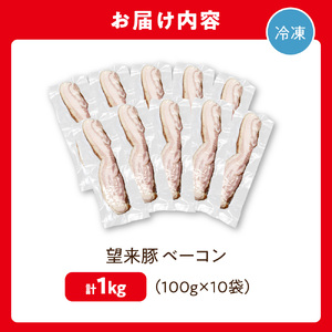 望来豚ベーコン ブロック 100g×10|ふるさと納税 無添加 ベーコン 北海道 石狩市