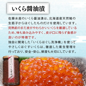 佐藤水産 鮭親子セットB