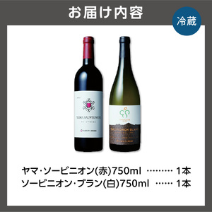 石狩市産ぶどう100%で醸造したワイン2銘柄 赤・白ワインセット
