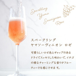 石狩市産ぶどうで作ったスパークリングワイン 2本セット