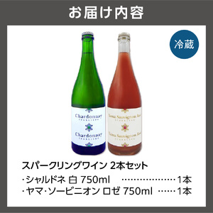 石狩市産ぶどうで作ったスパークリングワイン 2本セット