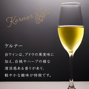 石狩市産ぶどうを醸造したワイン「ISHIKARI」限定ラベル 赤白セット		